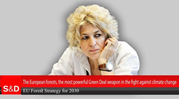 Carmen Avram, interviul zilei. Informații esențiale de la Bruxelles despre noua Politica Agricolă Comună 