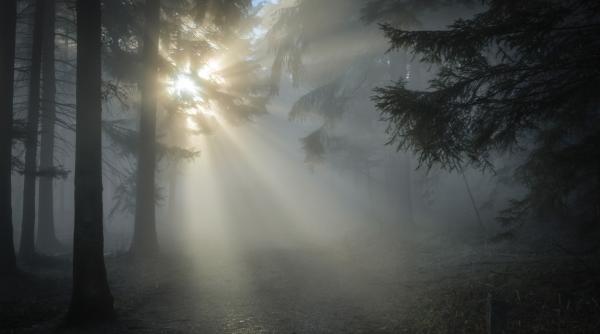 Cadavrul unui migrant, găsit într-o pădure aproape de frontiera cu Belarus