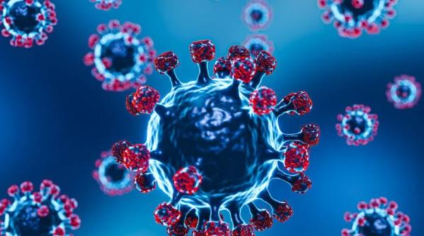 11 cazuri de infectare cu Omicron, în România. Ministrul Rafila: Pacienții au forme ușoare de boală