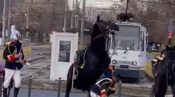 Jandarmul care a căzut de pe cal la parada de 1 Decembrie era beat