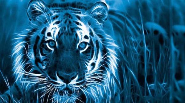 Horoscop 2022. Cum să te îmbraci de Revelion, ce bucate să pregătești și cum să-ți decorezi locuința ca să ai noroc tot anul