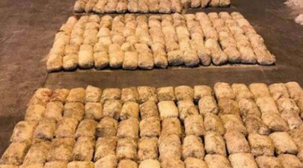 Germania: Cantitate record de cocaină confiscată în 2021