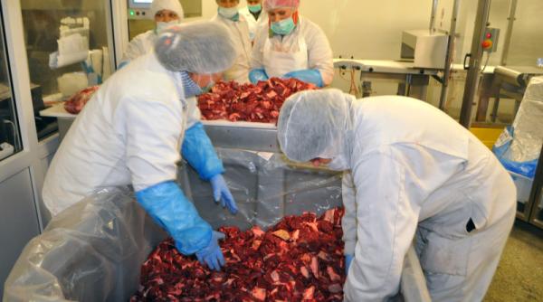 Reacția abatorului Tonnies din Germania după acuzațiile că practică „sclavie modernă”: „Filmările sunt foarte vechi”