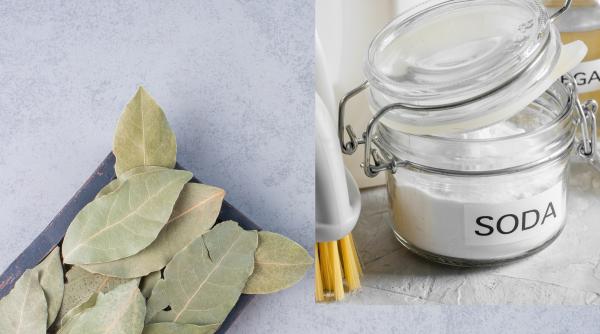 Truc moștenit de la bunici cu foi de dafin și bicarbonat. Rezultat magic pentru hainele tale! 