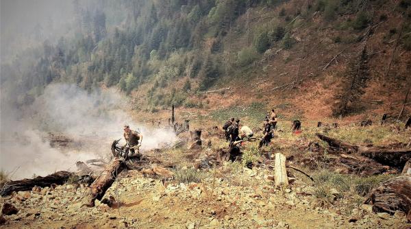 Pedepse mai mari pentru cei care îi atacă pe pădurari. Iohannis a promulgat legea