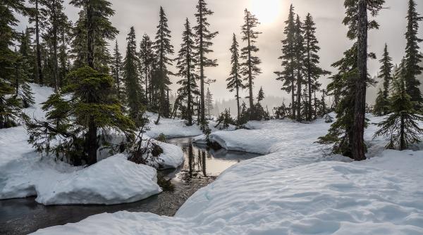 Peste 90% dintre ţări, ameninţate de perspectiva unor ani deosebit de călduroşi 