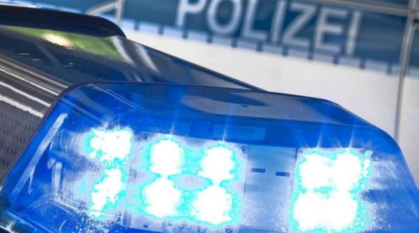 Austria. Un șofer român beat a produs un accident grav și a fugit. Polițiștii l-au găsit ascuns într-un tufiș