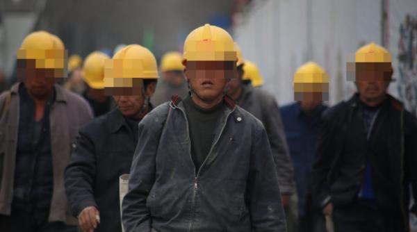 Italia. Muncitori moldoveni, exploatați: Lucrau „la limita sclaviei”, cu documente românești false