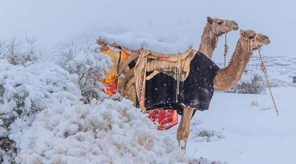 Fenomene meteo extreme: A nins în deșertul Sahara. Pentru a cincea oară în ultimii 42 de ani
