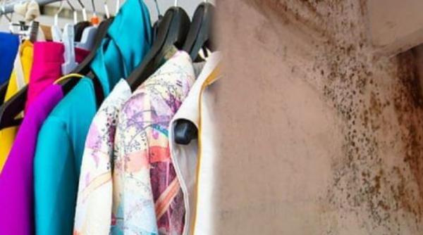 Trucul cu care scăpăm rapid de mirosul de mucegai din dulapuri. Aveți nevoie de un ingredient pe care îl folosiți mereu în bucătărie