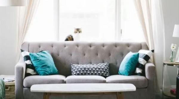 Îndepărtează rapid petele de grăsime de pe canapea cu mălai: Metoda „uscată”, fără apă și fără substanțe chimice