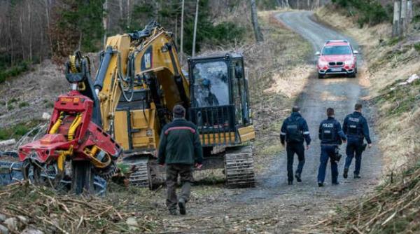 Germania. Tânăr român, ucis de copacul pe care l-a tăiat într-o zonă forestieră 