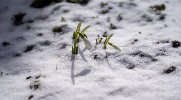 Vremea în România, miercuri, 16 februarie 2022. Ziua de miercuri aduce temperaturi foarte ridicate