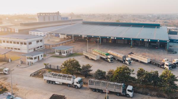 Român arestat după ce a profitat de o conațională, găzduită în condiţii inumane, şi a forţat-o să se prostitueze într-o parcare de TIR-uri