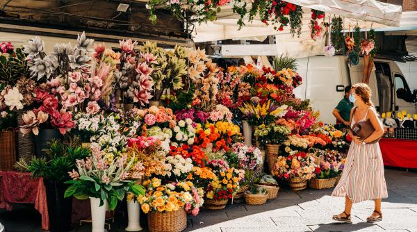 Florile astrale: Ghidul suprem al florilor pentru fiecare zodie. Balanțele se bucură de floarea pasiunii