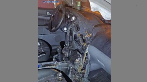 Spania. Un moldovean și complicele său au incendiat automobilul, în care și-au abandonat patrupedul. Cățelul, salvat de trecători 