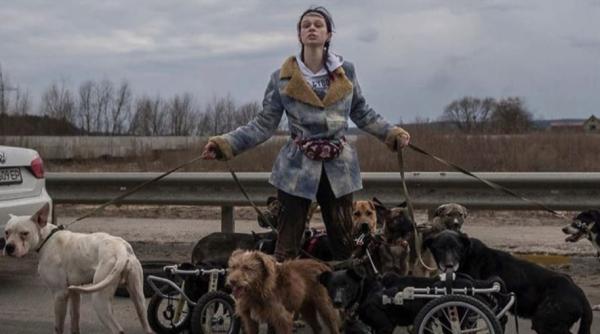Viața bate filmul: Cum au salvat Anastasia și soțul ei zeci de animale din Irpen, orașul transformat de ruși într-o ruină