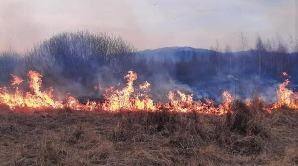 Bărbat, găsit carbonizat, în urma unui incendiu de vegetație în Bihor