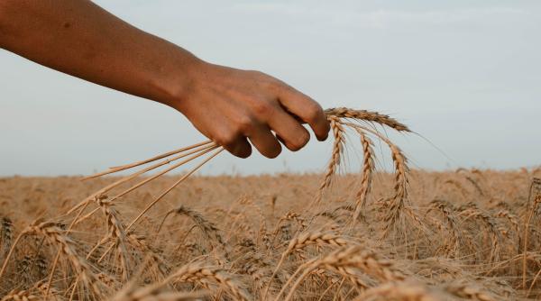 Ucraina pierde exporturi agricole în valoare de 1,5 miliarde de dolari