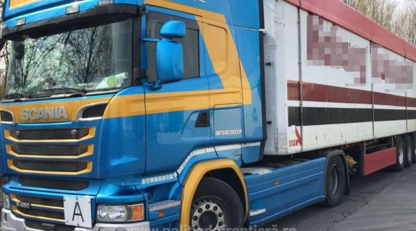 Camion, oprit la intrarea în țară: Aproape 23 de tone de deșeuri din hârtie, trimise de Italia în România  