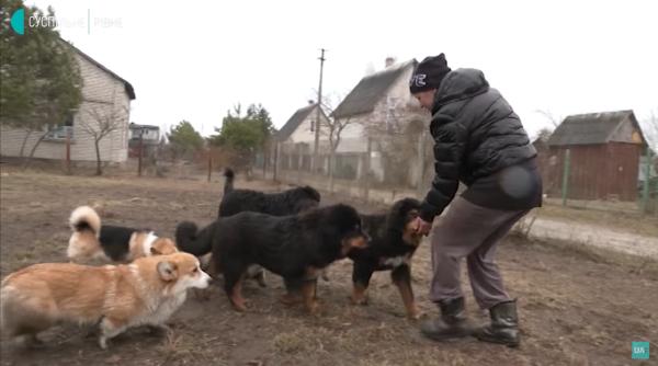 O femeie a salvat 16 câini din districtul Bucha. Ucraineanca a împrumutat un autobuz și s-a mutat în regiunea Rivne împreună cu patrupedele