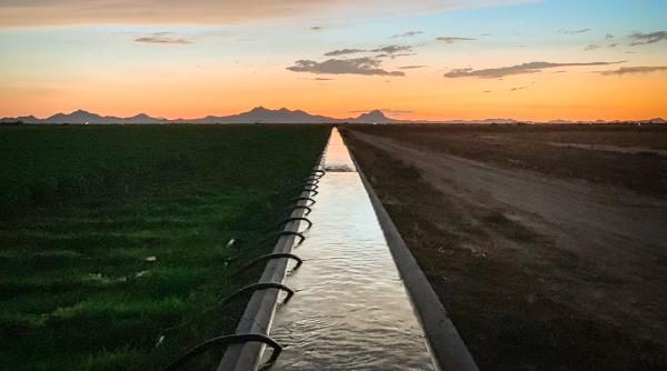 Ministrul Agriculturii, Adrian Chesnoiu, a iniţiat o modificare a legislaţiei privind sistemele locale sau microsistemele de irigat la ferme