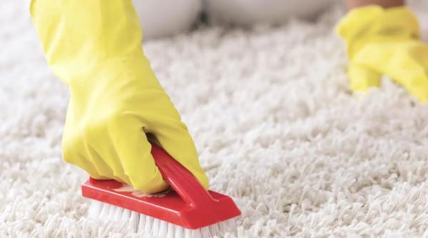 Cum să curățați covoarele cu remedii naturale? Adăugați câteva picături minune în găleata cu apă și treceți la treabă