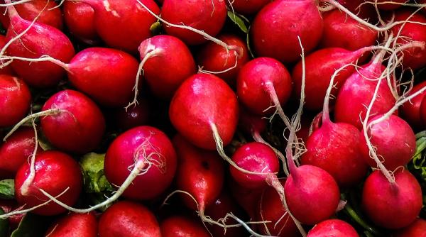 Tu știai cât de multe beneficii au ridichile? Ele joacă un rol important pentru tenul tău, dar și pentru siluetă. Iată câteva trucuri pe care să le încerci