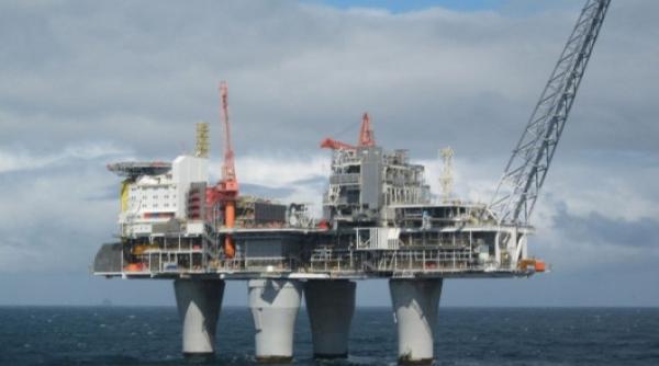 Pisică dispărută timp de cinci ani, descoperită pe o platformă petrolieră maritimă în largul Scoției