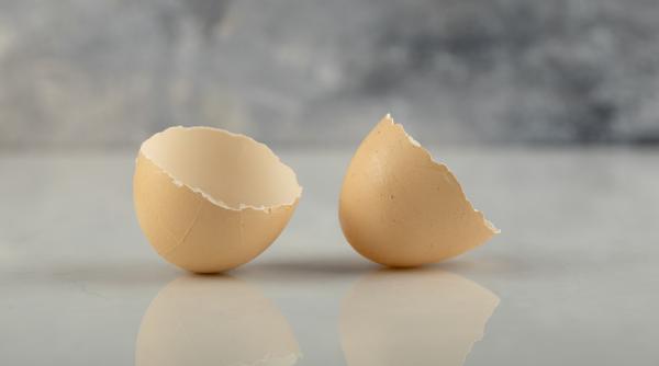 Nu mai arunca cojile de ou. Cele mai bune trucuri cu acest excelent „deșeu” ca să economisești bani