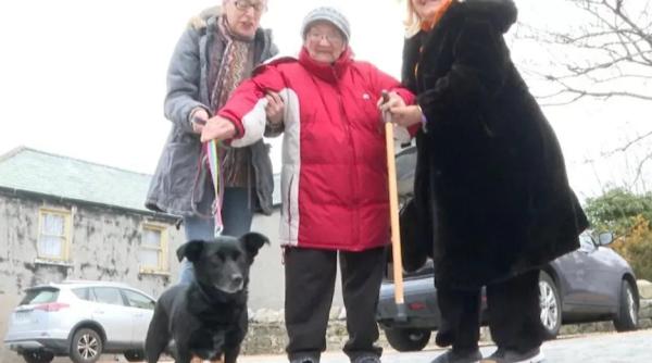 O familie de români au ajutat o ucraineancă de 86 de ani, refugiată în Irlanda, să-și regăsească câinele lăsat în urmă