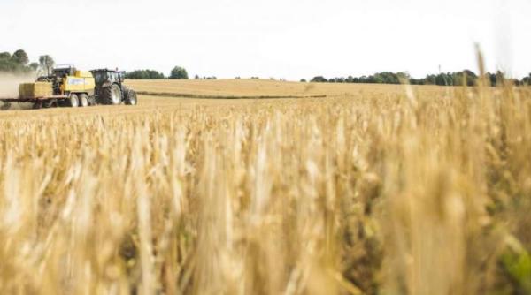 O nouă meserie în România, cea de expert în dezvoltare durabilă. Borbely: Suntem primii din Europa