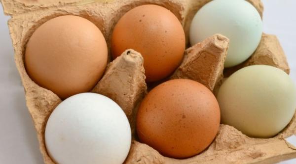 Îngroapă un ou într-un ghiveci cu pământ și vei rămâne uimit de rezultat: un truc grozav, care merită încercat!