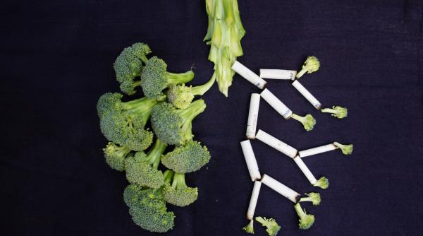 Alimentele NATURALE care îți detoxifică plămânii de tutun. Fumătorii ar trebui să le consume zilnic