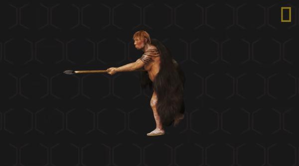 Dinte al unei specii umane dispărute, descoperit într-o peșteră din Laos 