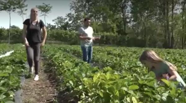 Vin forțe noi din străinătate. Tot mai mulți români din diaspora se întorc în țară: „Lucrează afară și cu banii de acolo deschid afaceri la noi”