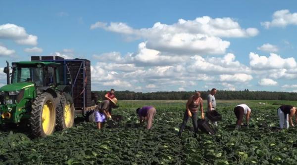 Lucrătorii români din Germania pot rămâne fără pensii. Socol-Florescu: "E prima oară când am aflat oficial"