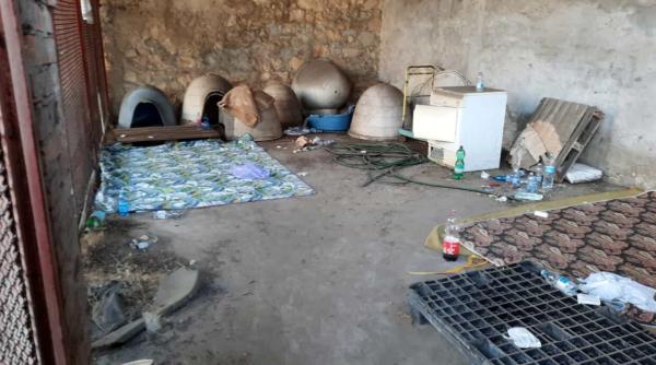 Cinci români care trăiau într-un adăpost de câini din Verona, evacuați de poliție. Consilier: "O situație la limita degradării"