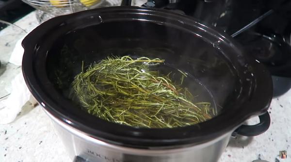 Apa de rozmarin, trucul care face ravagii pe TikTok. Un doctor specialist a confirmat rezultatele amestecului și a explicat cum trebuie folosit