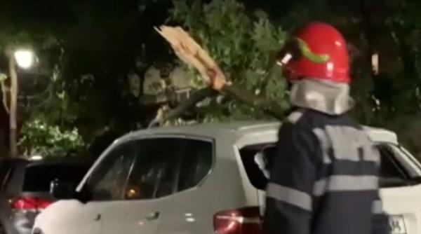 Urgia a lovit România. Copaci căzuți pe mașini, furtuni extreme. Foto