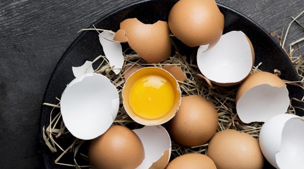 Nu mai arunca cojile de ouă! Fierbe-le și bagă hainele în acea apă. Un truc fantastic!