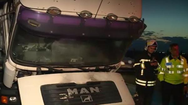 O șoferiță româncă de TIR, eroină pentru animalele pe care le transporta: „A împins remorca singură, o remorcă de 7-8 metri lungime”