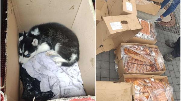 Un român, în drum spre Belgia, lăsat de polițiștii din Germania fără cățel și 100 kg de fripturi 