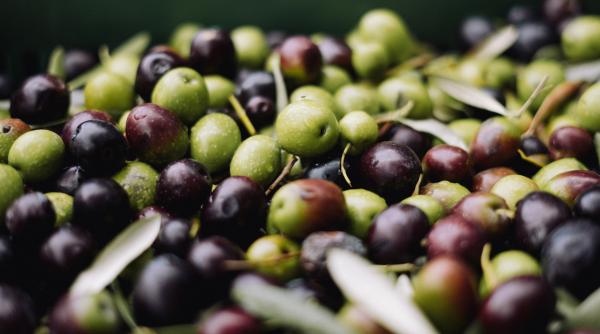 Tu știai că măslinele sunt un elixir al frumuseții? Iată trei trucuri cheie pe care le poți folosi pentru un ten mai sănătos