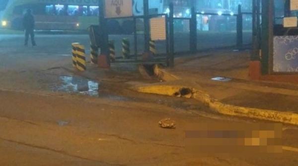 Argentina. Un român a creat panică pe străzile unui oraș. A atacat cu pietre un grup de turiști