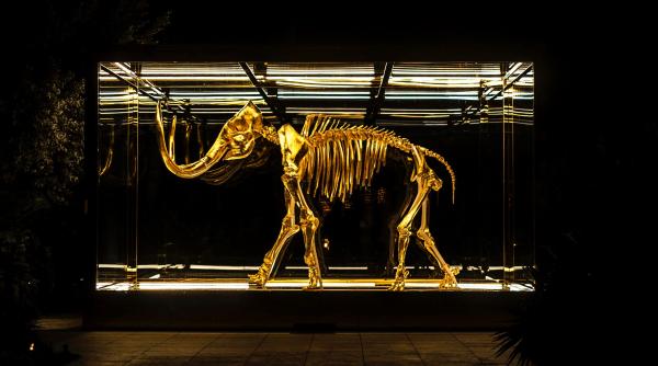 Un cercetător a dat peste un colț uriaș de mamut care ieșea din malul unui râu din Alaska 