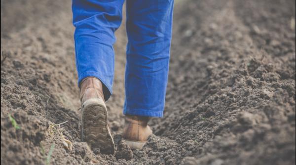 Condiţiile de muncă ale românilor din Germania, discutate de ministrul Muncii şi sindicatele din această ţară