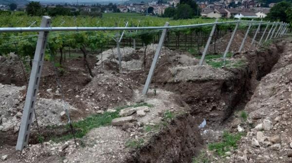 Mormântul de la Râmeț. Descoperire uimitoare a unor oseminte vechi de 5000 de ani, din civilizația Wietenberg