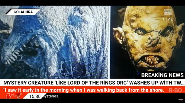 O creatura misterioasă marină, cu colți și fără ochi, a fost găsită pe o plajă egipteană