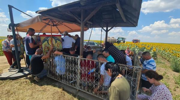 Un primar a adus preotul pe câmp să sfințească recolta, sperând să aducă ploaia: „Știți, Dumnezeu ne dă, dar nu ne bagă și în traistă“ 